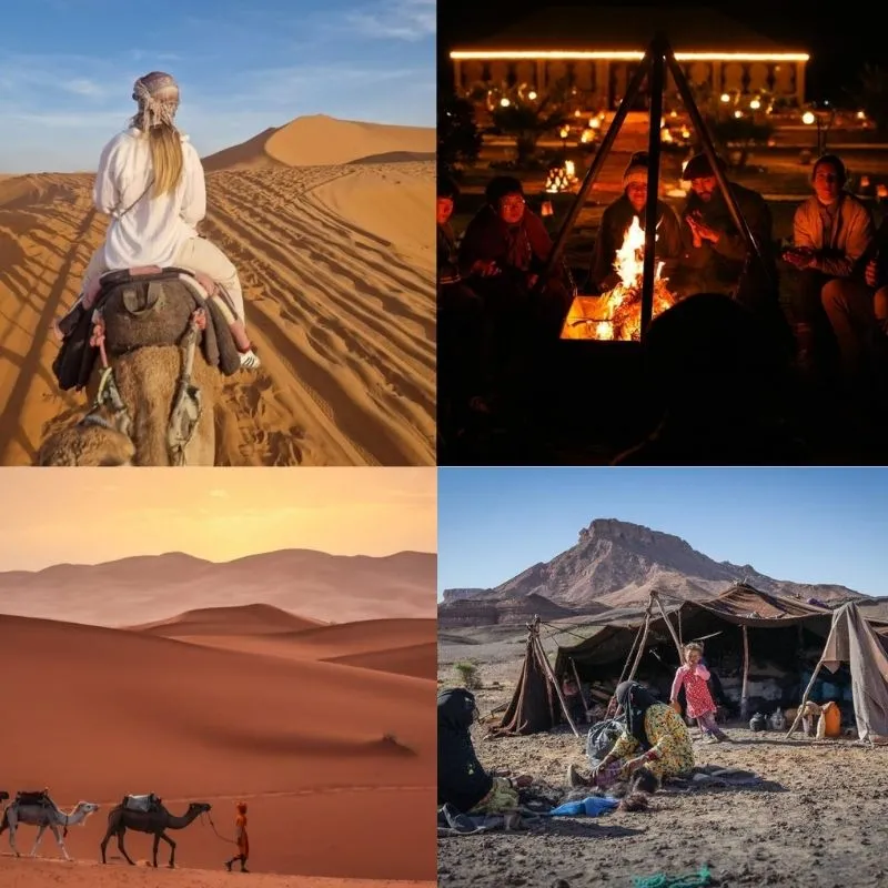 Kameltrekking in der Sahara